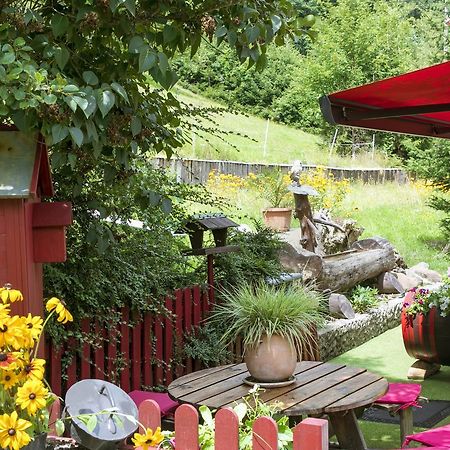 Gite Chez Mimie Breitenbach-Haut-Rhin Экстерьер фото