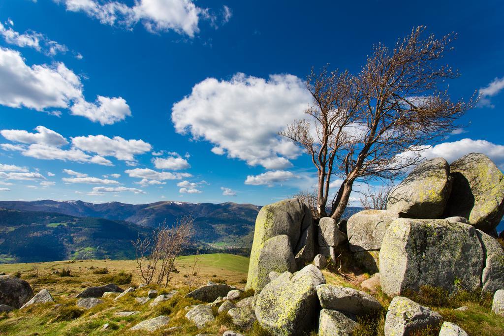 Gite Chez Mimie Breitenbach-Haut-Rhin Экстерьер фото