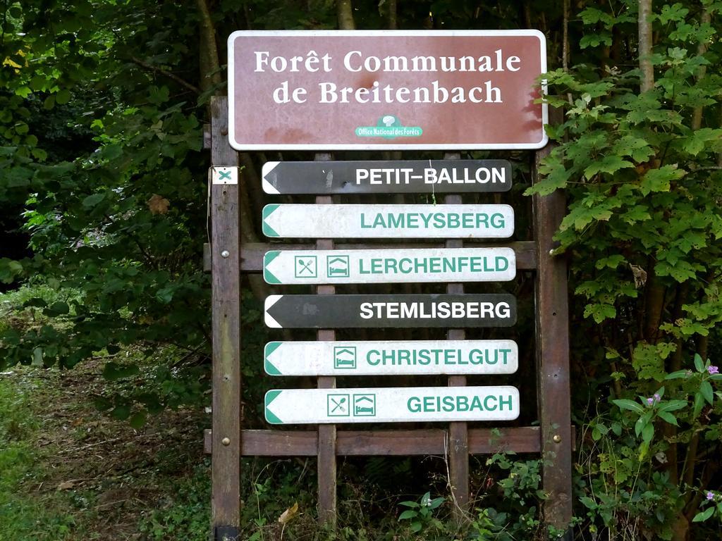 Gite Chez Mimie Breitenbach-Haut-Rhin Экстерьер фото