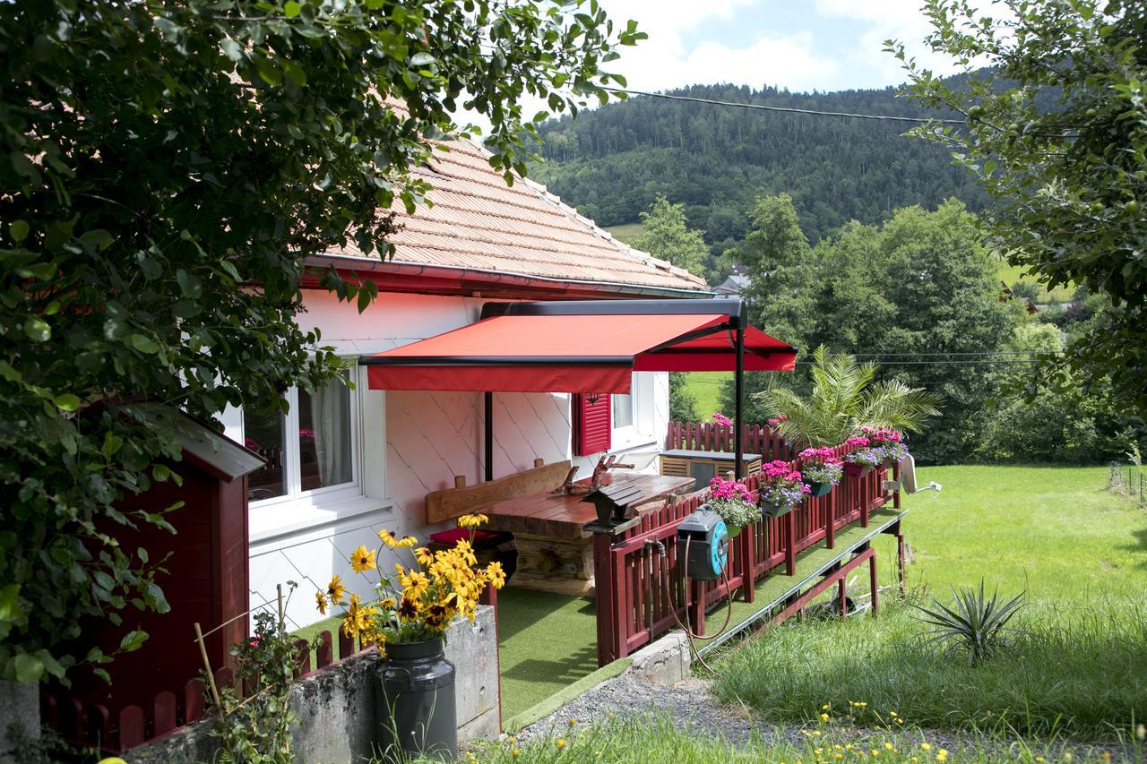 Gite Chez Mimie Breitenbach-Haut-Rhin Экстерьер фото
