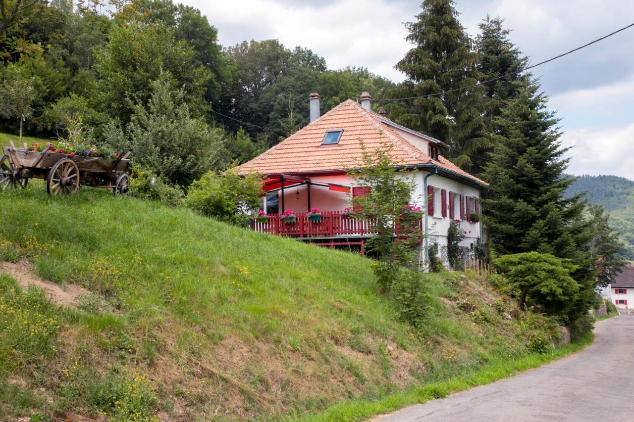 Gite Chez Mimie Breitenbach-Haut-Rhin Экстерьер фото