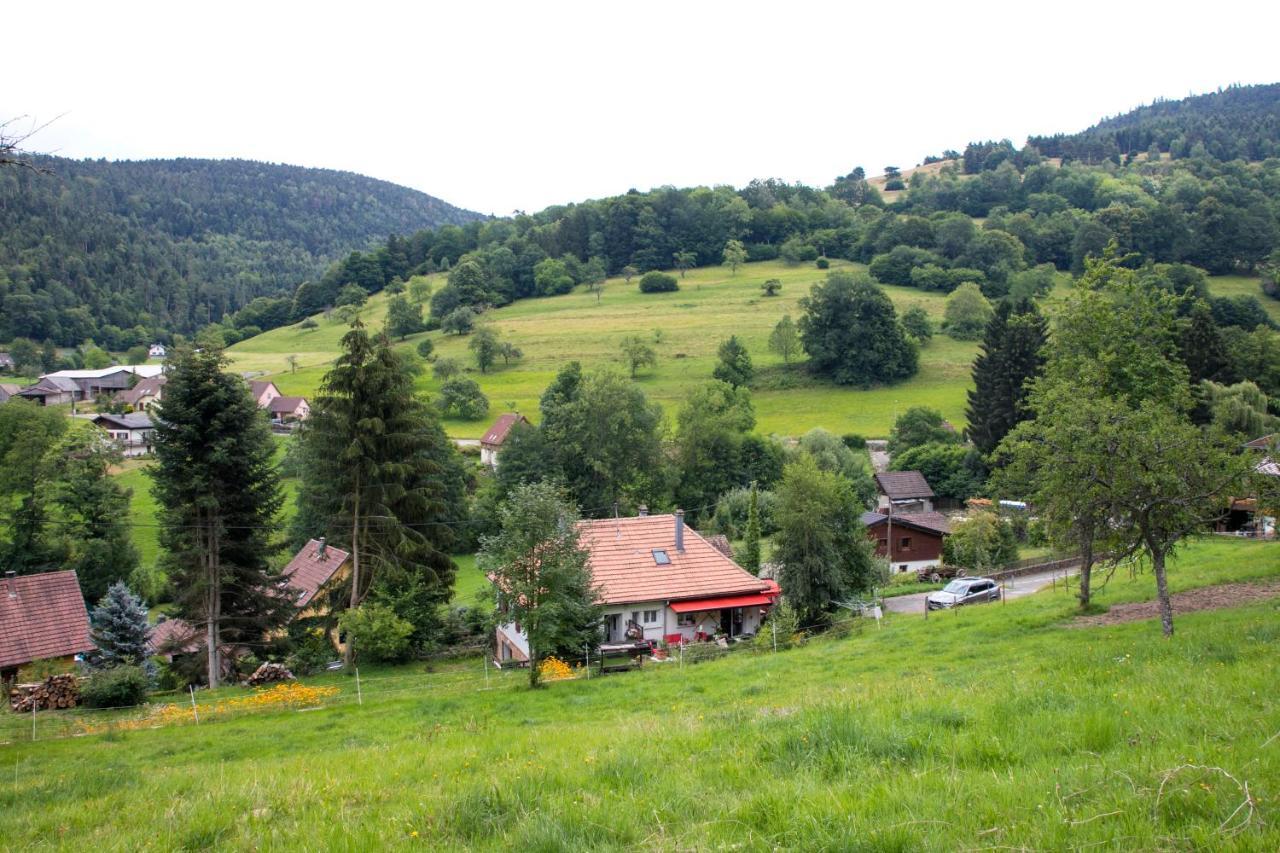 Gite Chez Mimie Breitenbach-Haut-Rhin Экстерьер фото